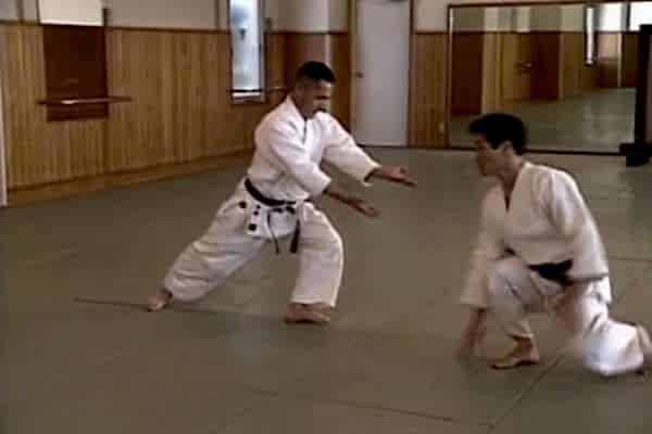 Ushiro Waza Ryohiji Mochi Sokumen Iriminage (1)(2)
