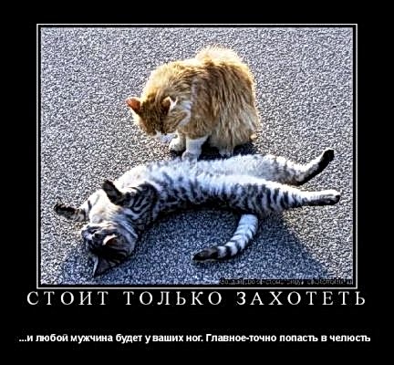 Мужчины будут у ваших ног