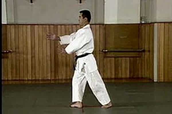 Базовая стойка (Kamae)