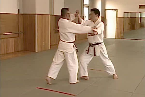 Hiji Mochi Yonkajo Osae (1)(2)