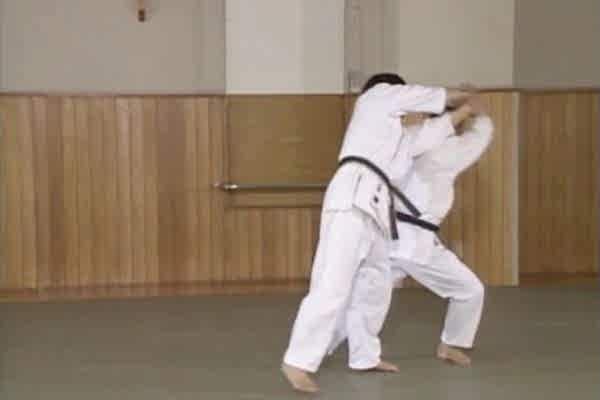 Ryote Mochi Shihonage (1)(2)
